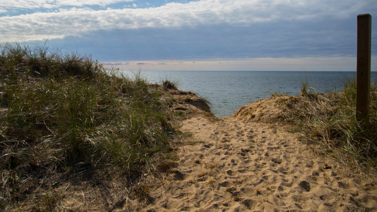 Nature spotlight Rosy Mound Natural Area in Grand Haven...